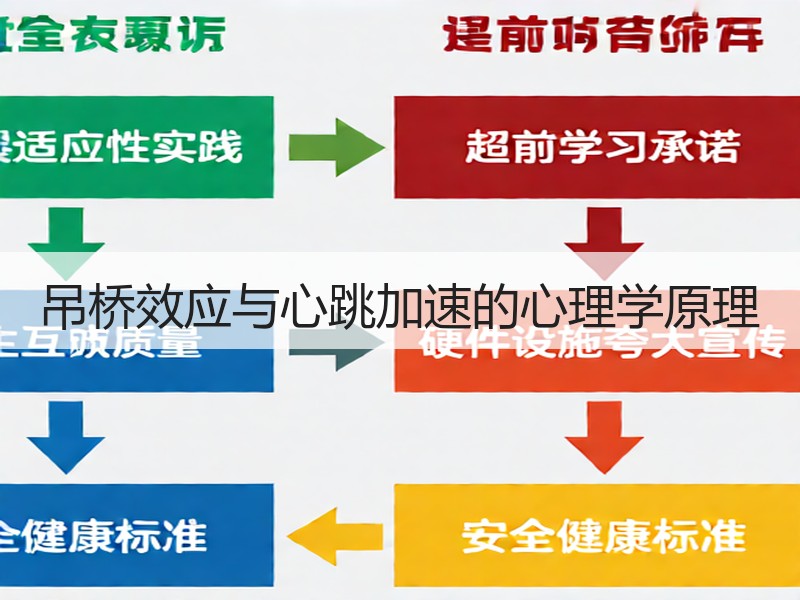 吊桥效应与心跳加速的心理学原理