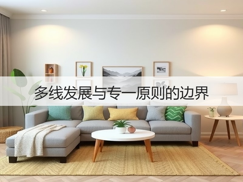 多线发展与专一原则的边界