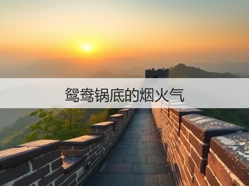 鸳鸯锅底的烟火气