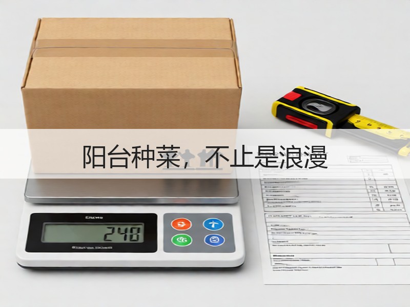 阳台种菜，不止是浪漫