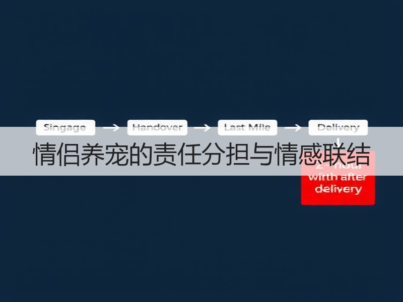 情侣养宠的责任分担与情感联结