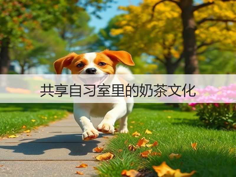 共享自习室里的奶茶文化
