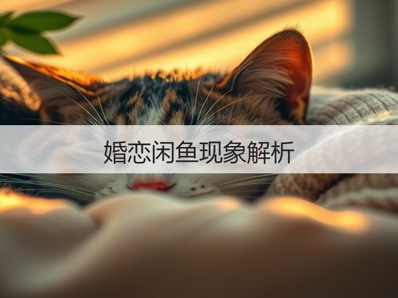 婚恋闲鱼现象解析