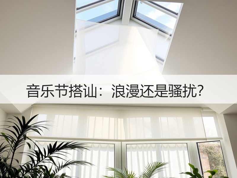 音乐节搭讪：浪漫还是骚扰？