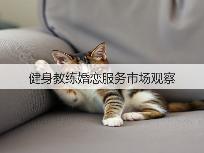 健身教练婚恋服务市场观察
