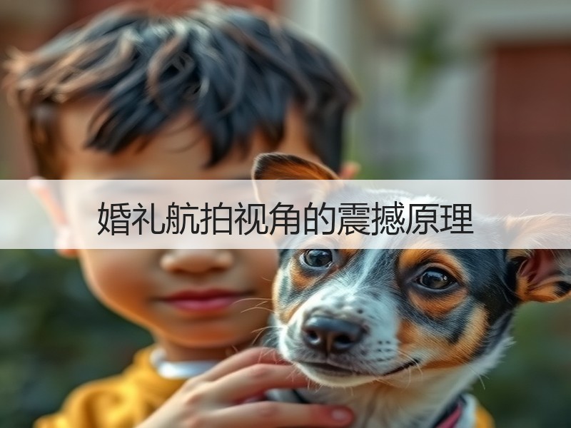 婚礼航拍视角的震撼原理