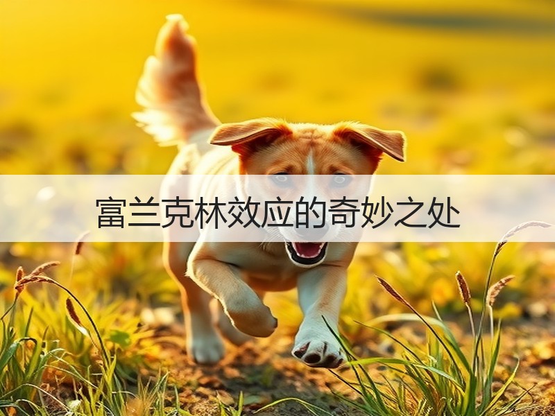富兰克林效应的奇妙之处