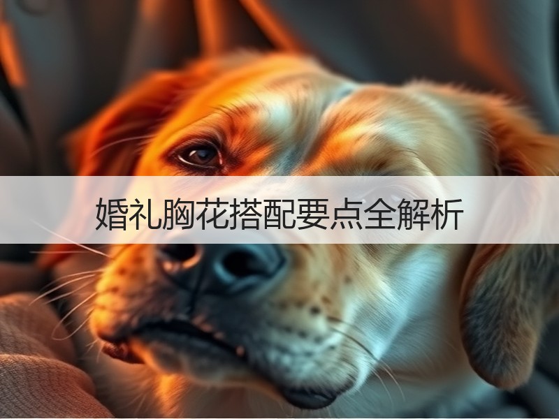 婚礼胸花搭配要点全解析