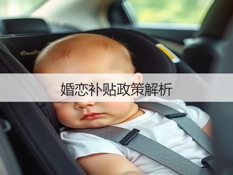 婚恋补贴政策解析