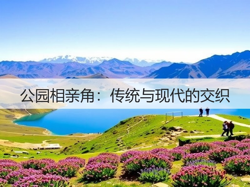 公园相亲角：传统与现代的交织