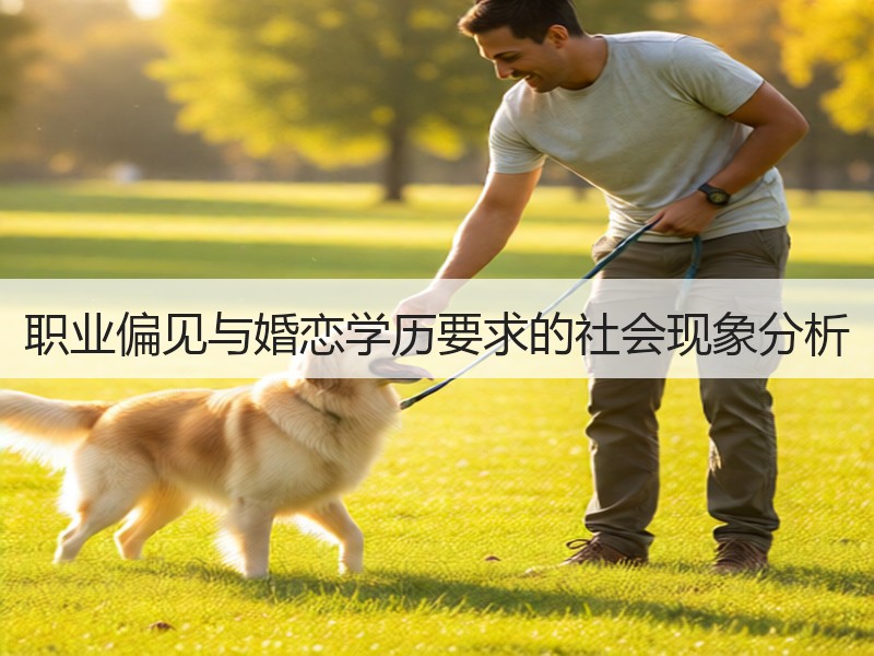 职业偏见与婚恋学历要求的社会现象分析