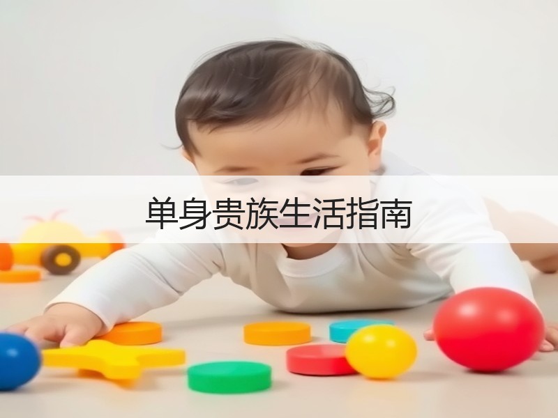 单身贵族生活指南