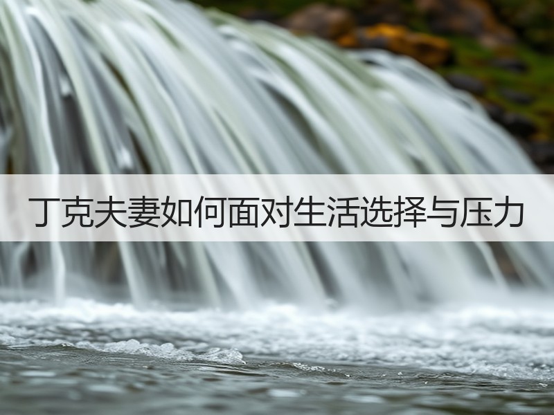 丁克夫妻如何面对生活选择与压力