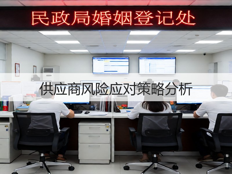 供应商风险应对策略分析